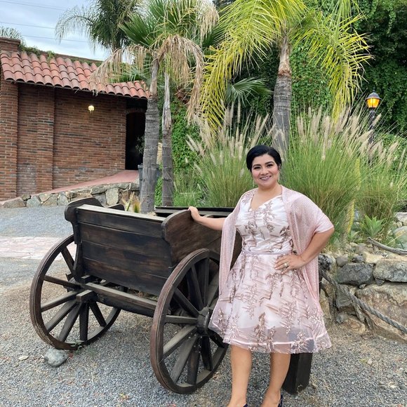 Elegant cocktail or engagement dinner party dress - Picture 3 of 8